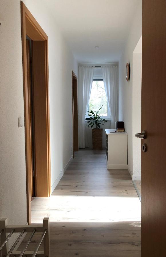 Schoene Ferienwohnung Am Rande Der Altstadt Wittenberg Kültér fotó